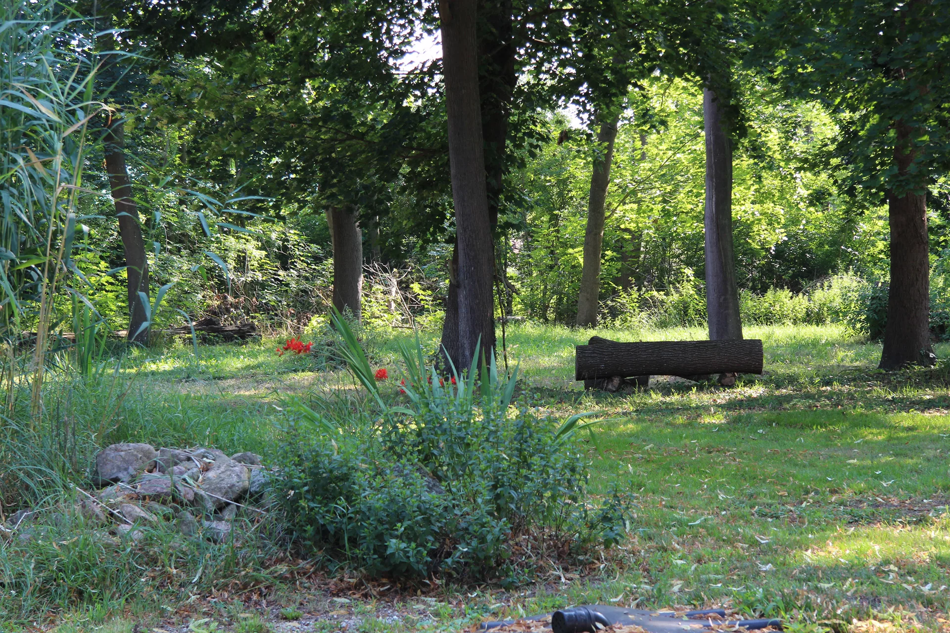 Waldähnlicher Gartenbereich mit natürlicher Sitzgelegenheit